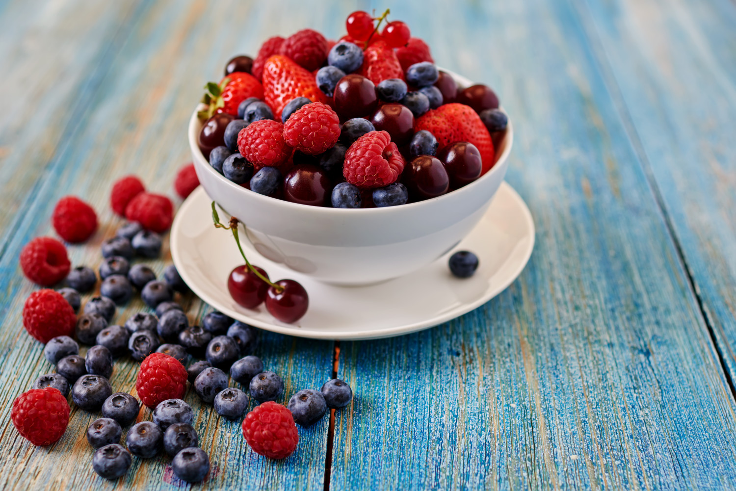 program Metabolic balance®